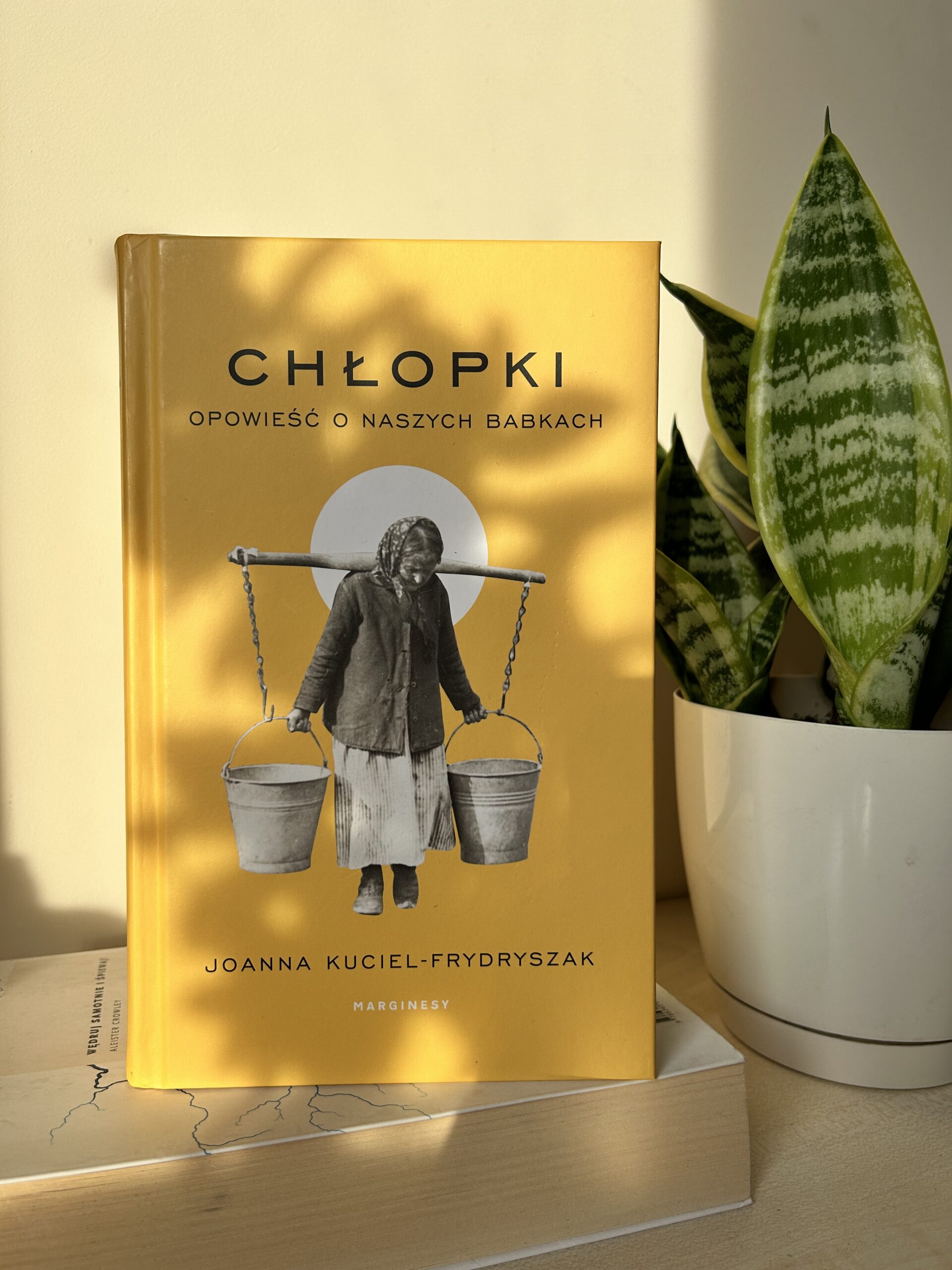 Okładka książki Joanny Kuciel-Frydryszak Chłopki