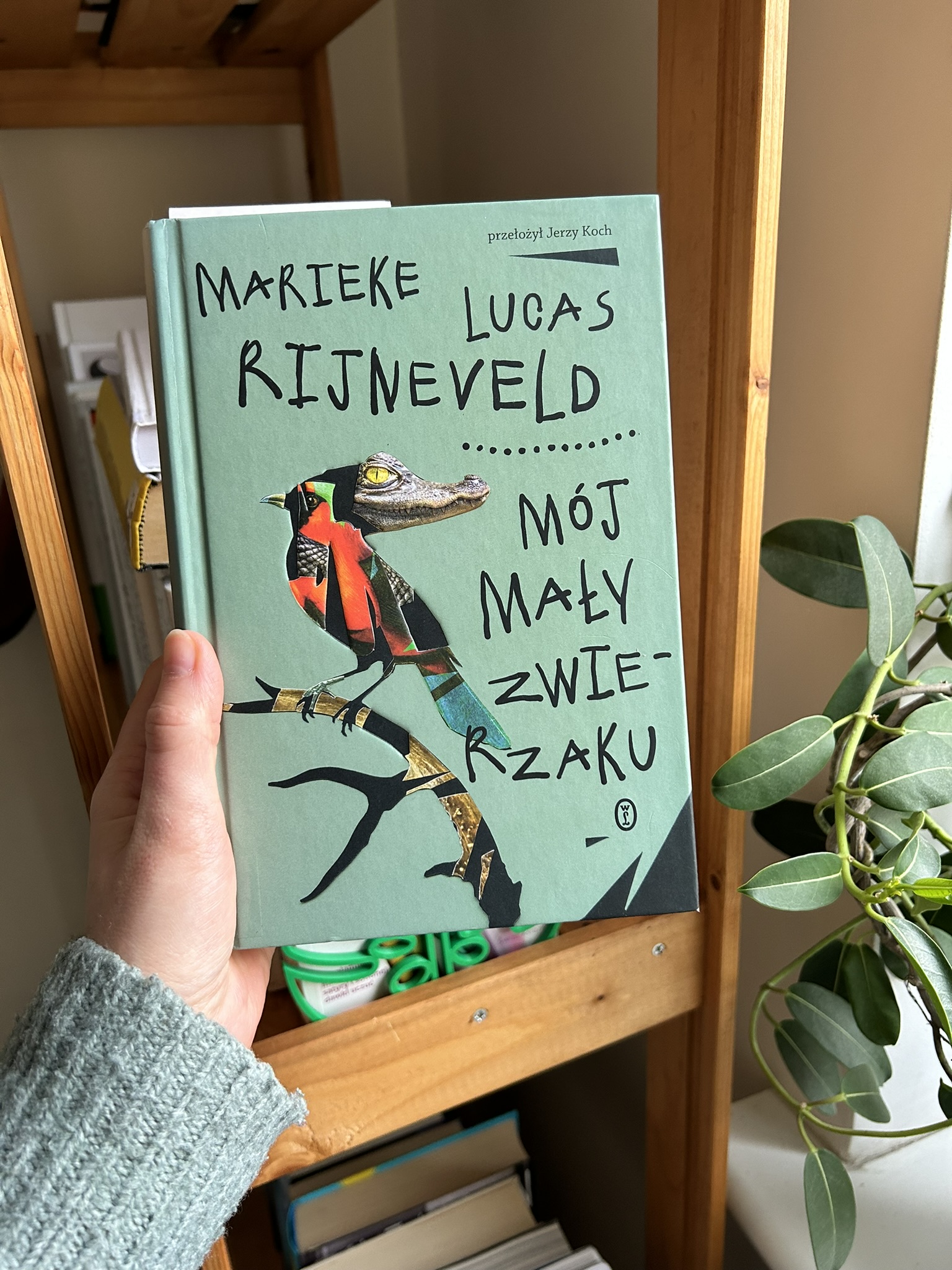 Kolorowa fotografia. Wyciągnięta dłoń trzyma książkę Mój mały zwierzaku. W tle drewniany regał z książkami.