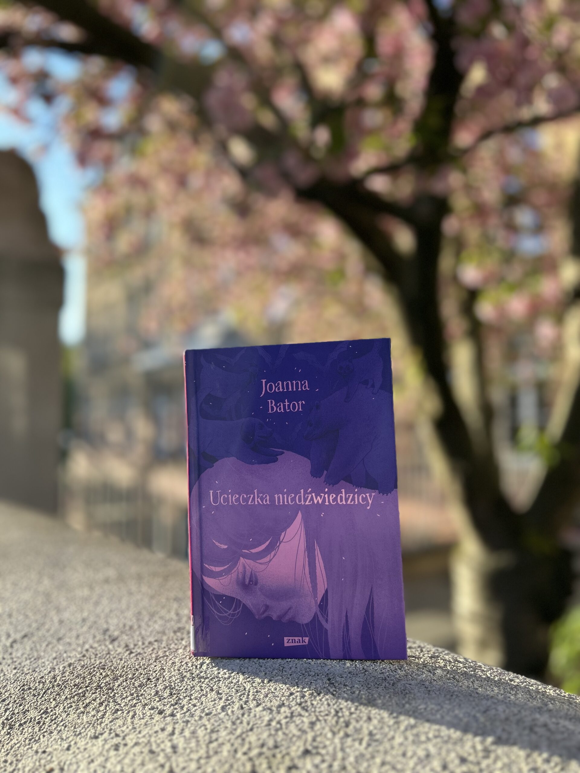 Kolorowa fotografia. Książka stoi na murze. W tle kwitnące na różowo drzewo oraz budynek.