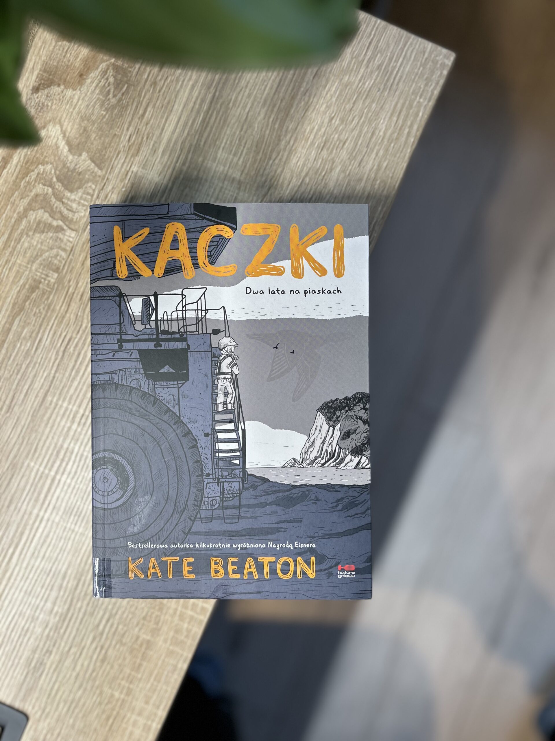 Kolorowe zdjęcie. Zamknięta książka leży na skraju biurka.