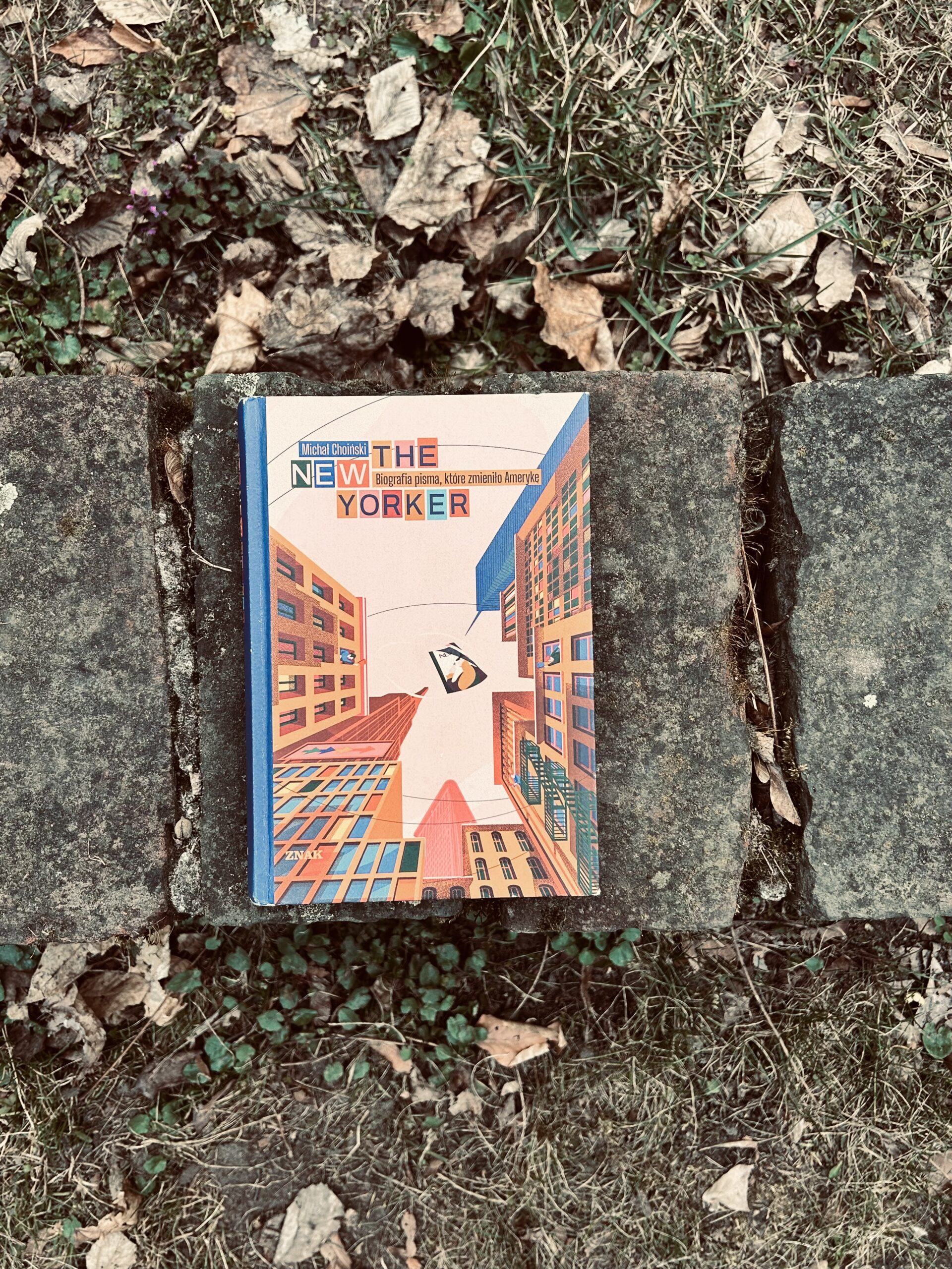 Kolorowe zdjęcie. Książka w twardej okładce leży na kamieniu. Jest zamknięta. Wokół trawa i suche liście.